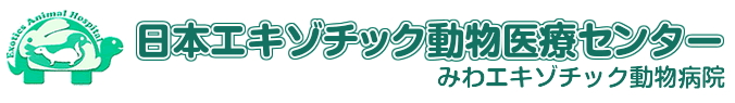 日本エキゾチック動物医療センター みわエキゾチック動物病院